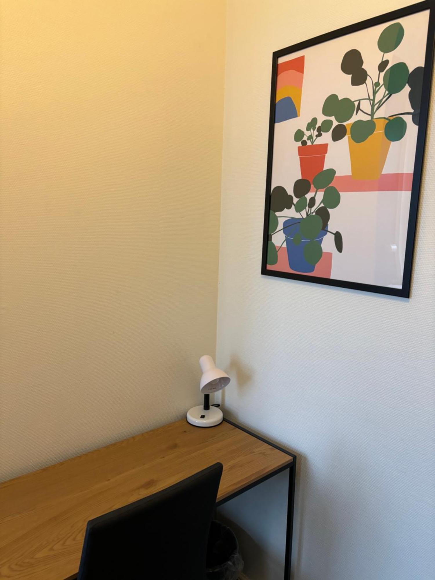 Danhostel Odense City Esterno foto A Google Home Hub